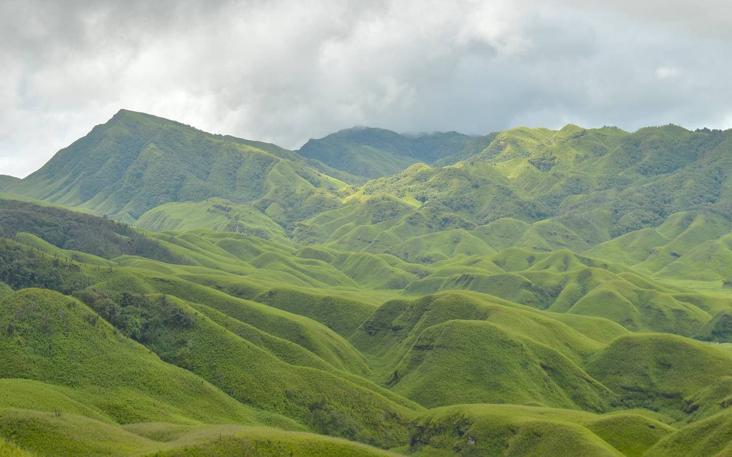 The Dzükou valley