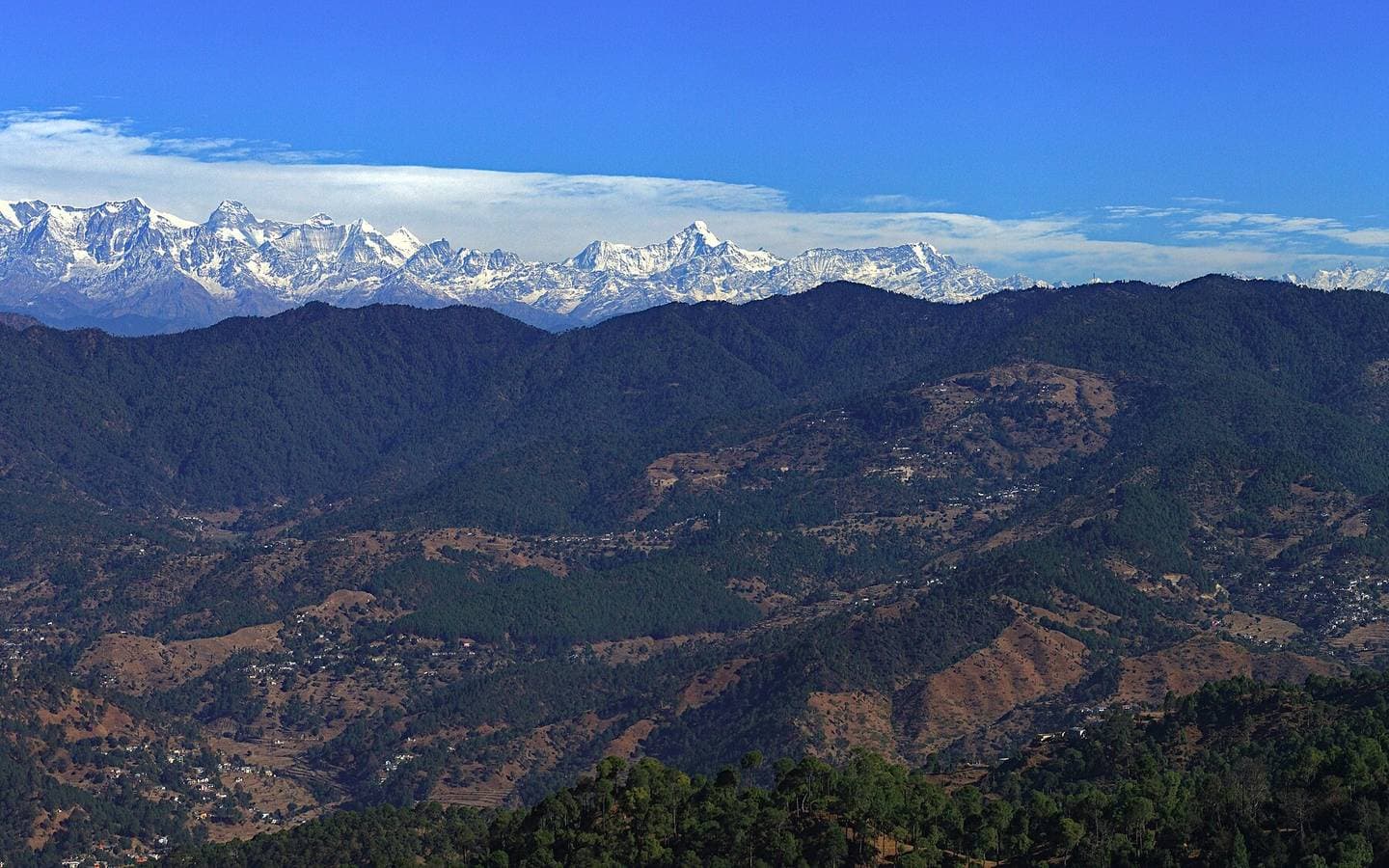 The Himalaya from Ranikhet