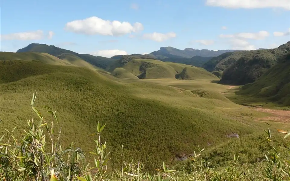 The Dzukou Valley