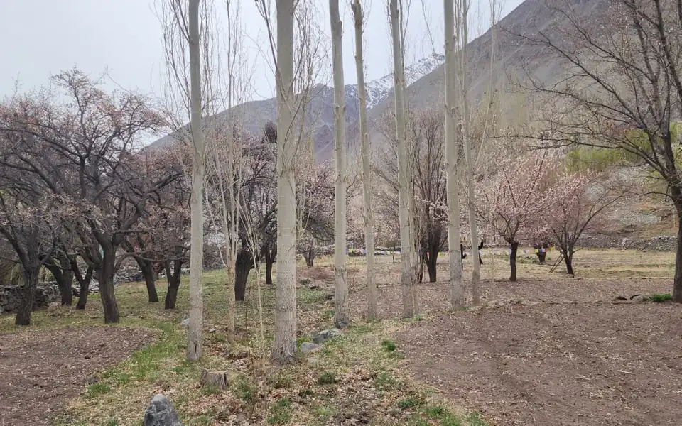 Sham Valley Ladakh